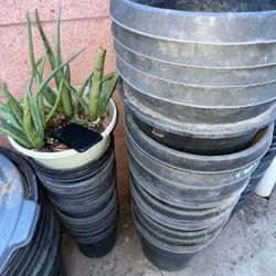 Urgent Blowout Discount Sale Plant Buckets