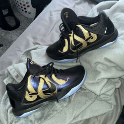 Kobe 5 Protro “Year Of The Mamba”