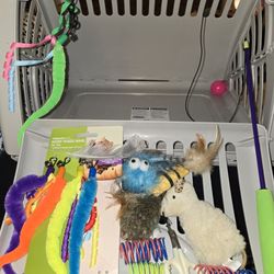 Cat Toys & Bed