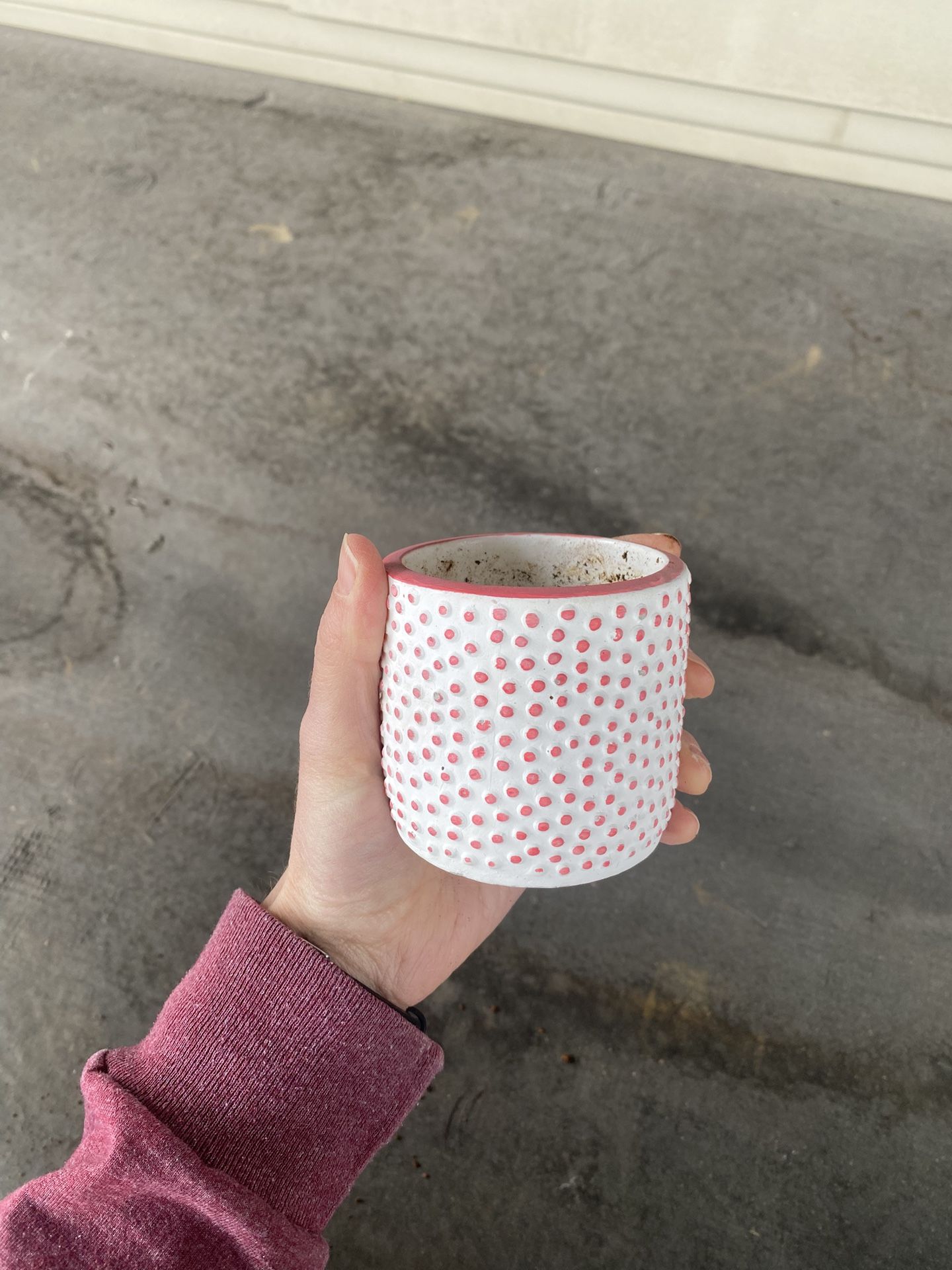 Small Polka Dot Pot