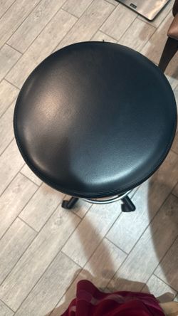 Swivel Stool Salon Chair