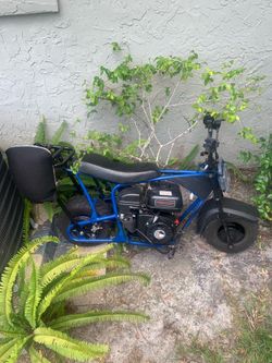 Minibike need gone asap