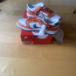 Brand New Never Tired On dunks