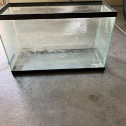 Fish Tank