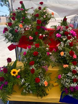 Mother’s Day Flowers