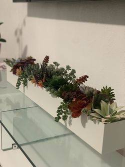 Succulent Table Planter Home decor