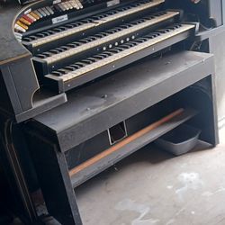 Piano Organ FREE!!!