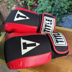 Boxing Gloves And 2 Hand Wraps 
