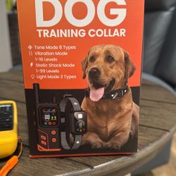 Dog Training Collar