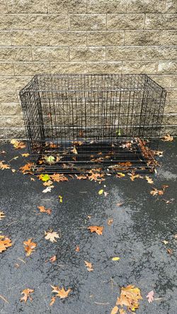 Large Dog Crate