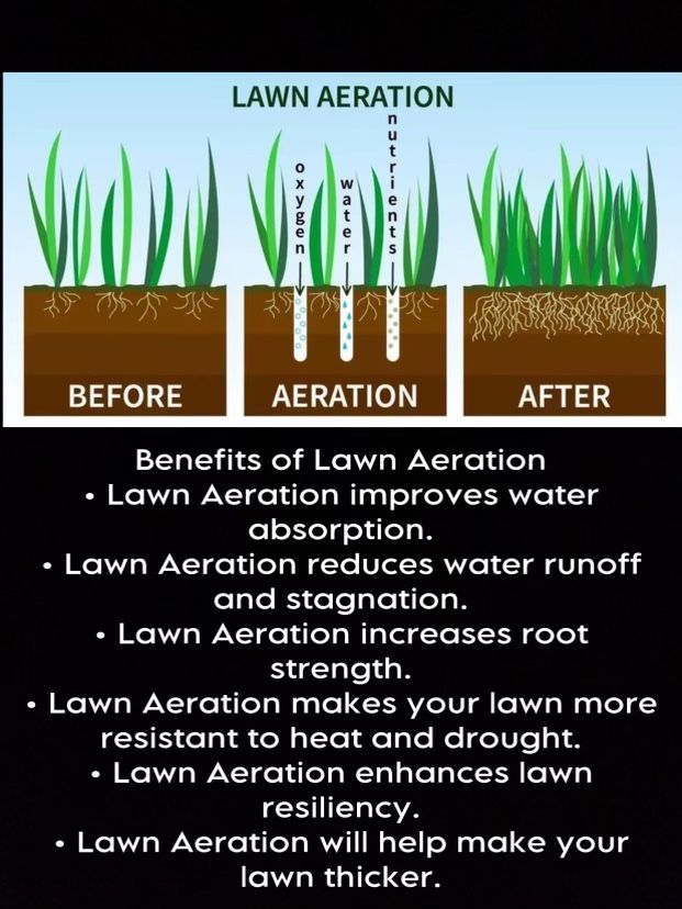 Lawn Aeration
