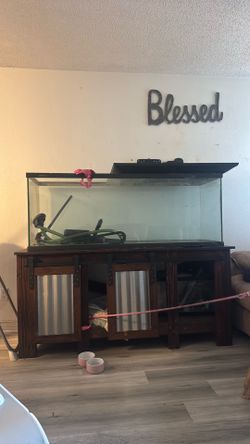 110 gallon fish tank