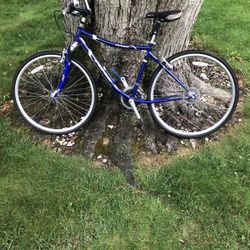 28” Eastwood Hybrid Bike 