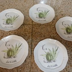 Anthropologie LINEA CARTA Dina Pyari Cc Dare to Cuddle 6 3/8" Plate, Cactus Plants Letter Plate, C is for Cactus, Off-White