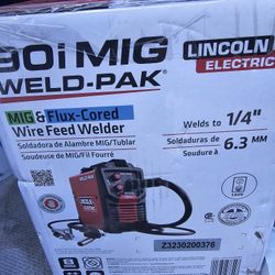 Welder 110v. Gas