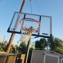 Shatterproof Lifetime 54 Inch Court
