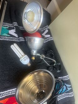 Spot lights