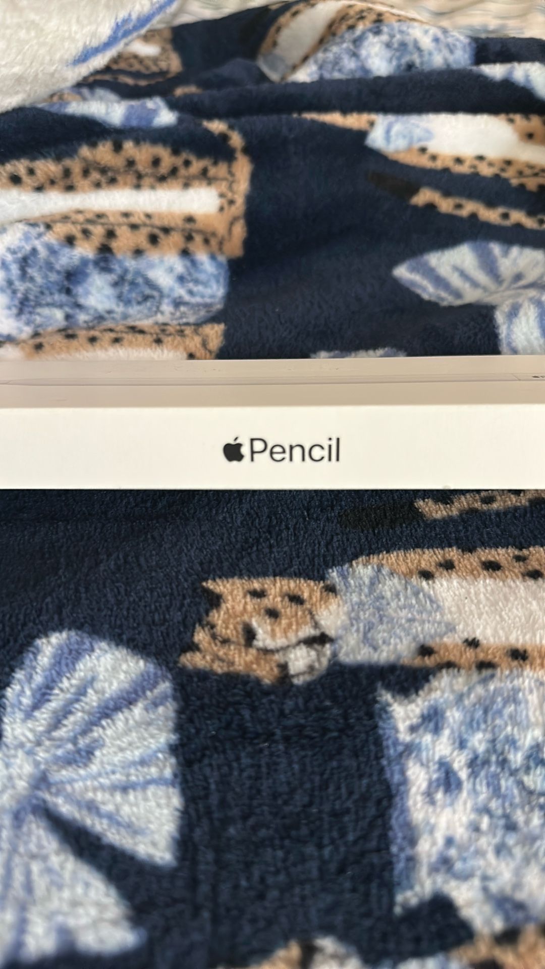 Apple Pencil USBC