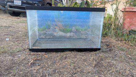 Fish Tank