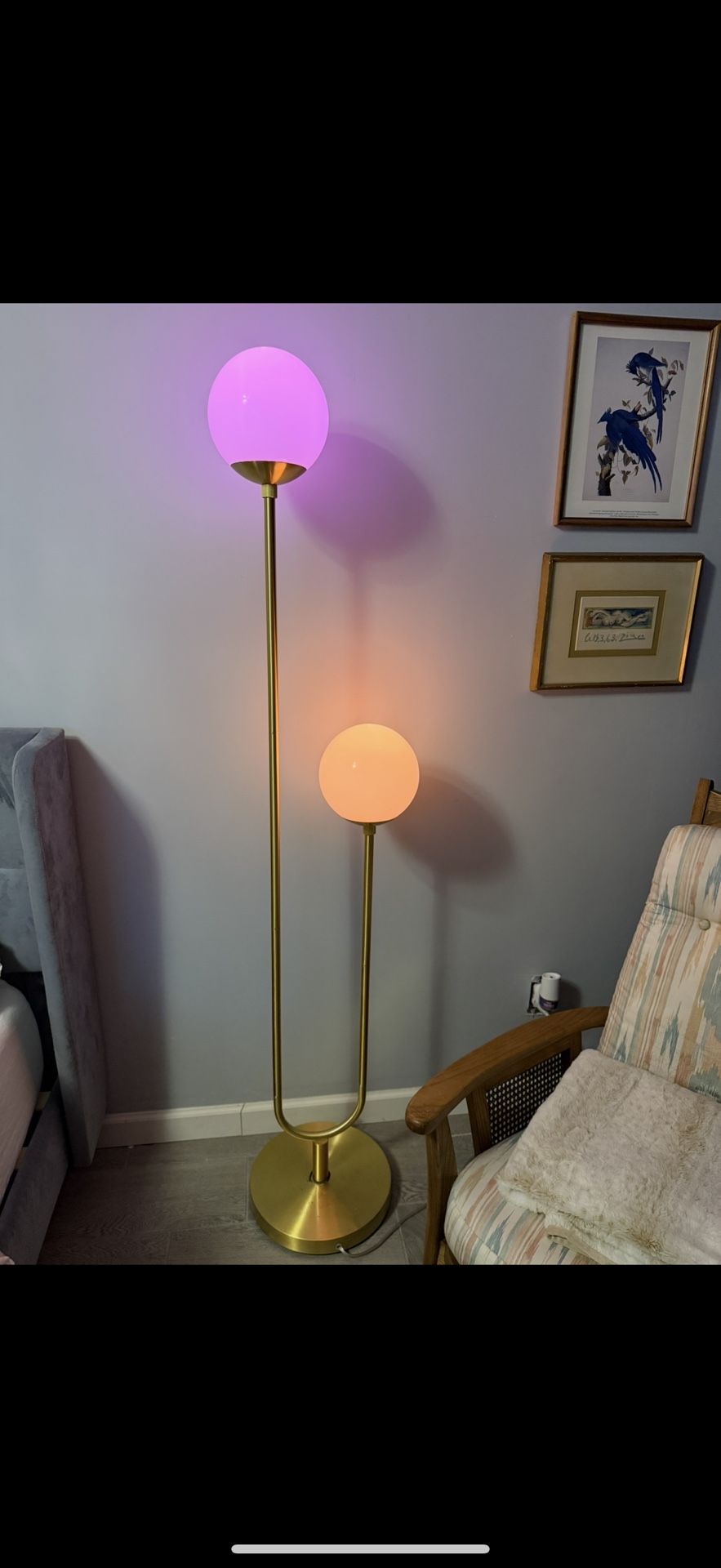 2-Light Floor Lamp with Glass Shades - Brass