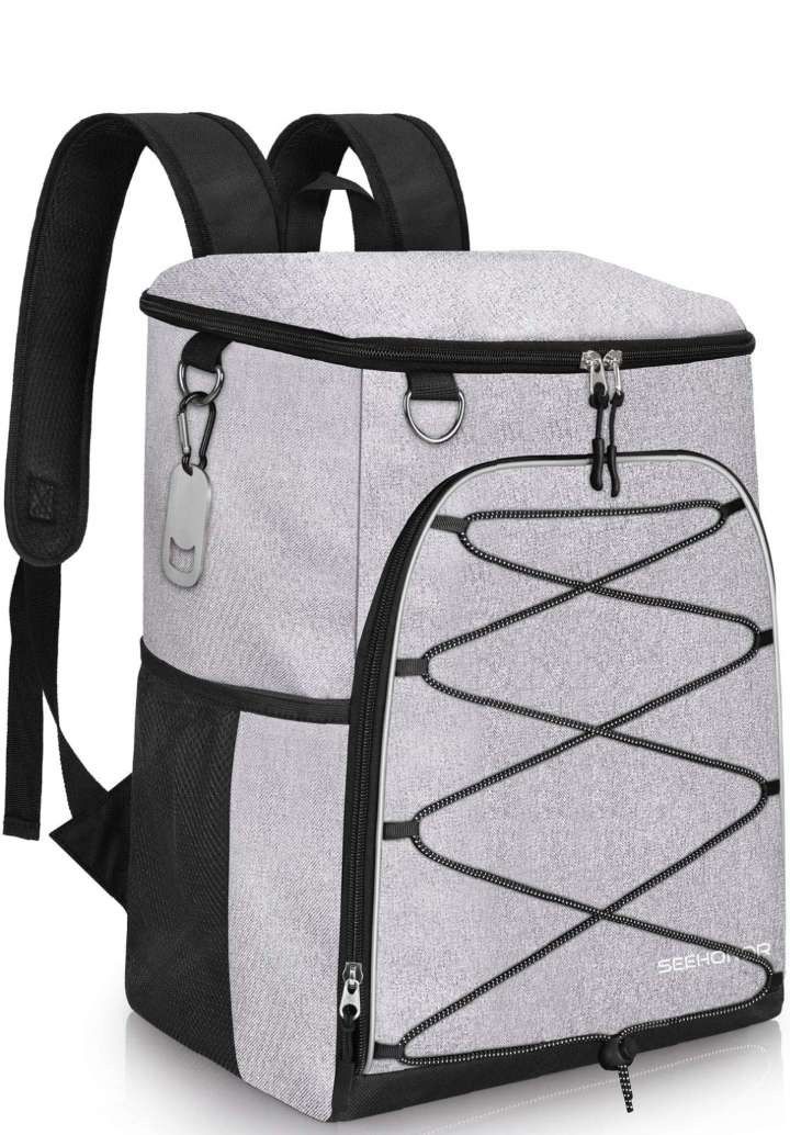 Cooler Backpack 