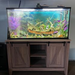 FISH TANK