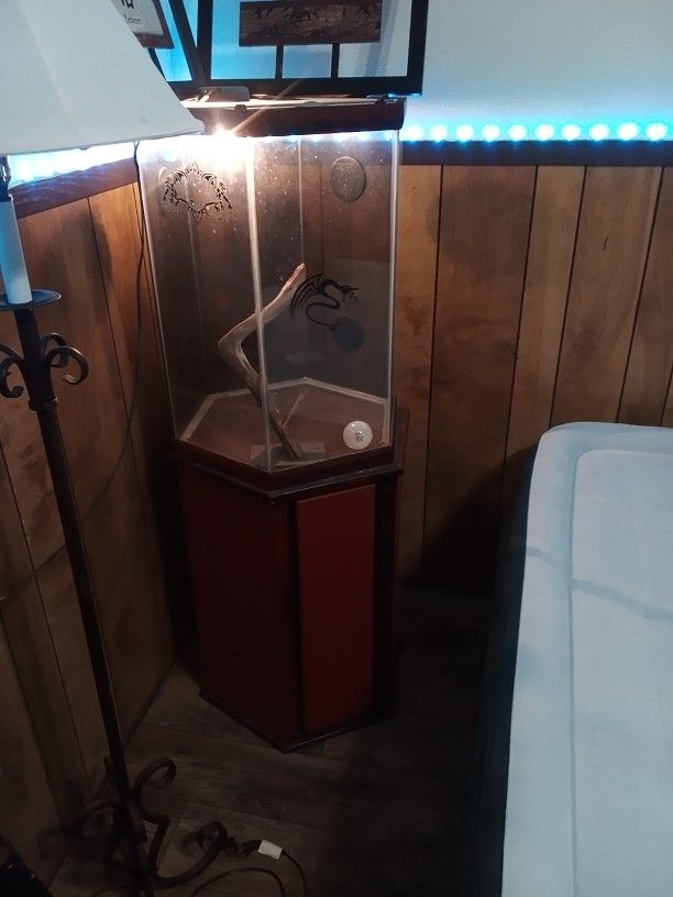 Hexagon Terrarium W/Storage, Vents, Light Fixture ~ 5Foot Tall