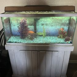 Fish tank and supplies