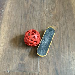 Reptile Or For Hamster Skateboard 