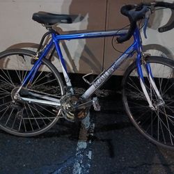 Raleigh Sports Road Bije