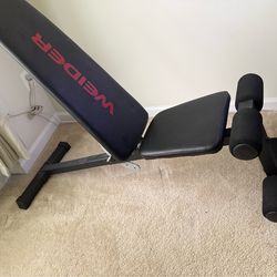 Weight Bench