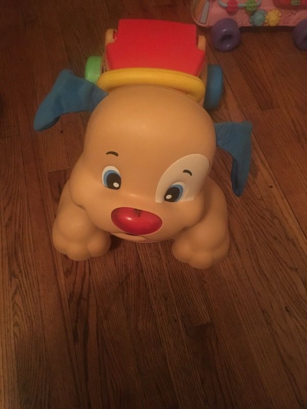Puppy