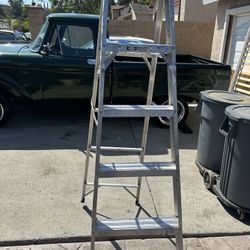 Werner Ladder 6'