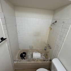 Cast Iron Tub & Tile Walls Reglaze