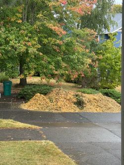 Free Wood Chips Mulch