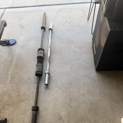Barbell & Curl Bar
