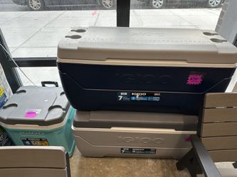 MaxCold Coolers 