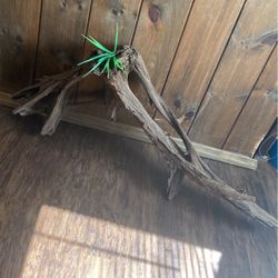 Drift Wood 50” Long