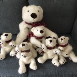 6 Beautiful Polar Bears $25