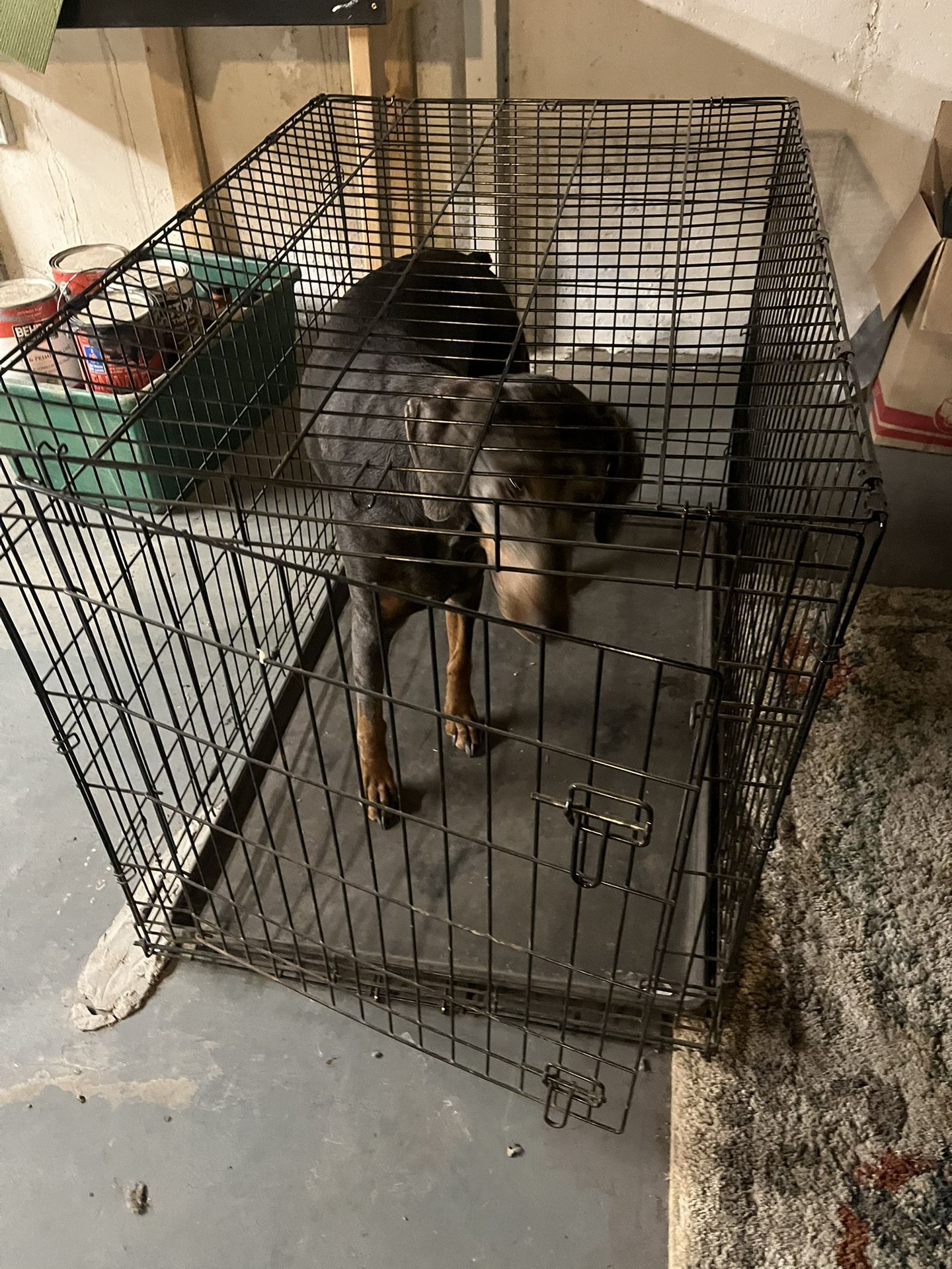Large Dog Crate