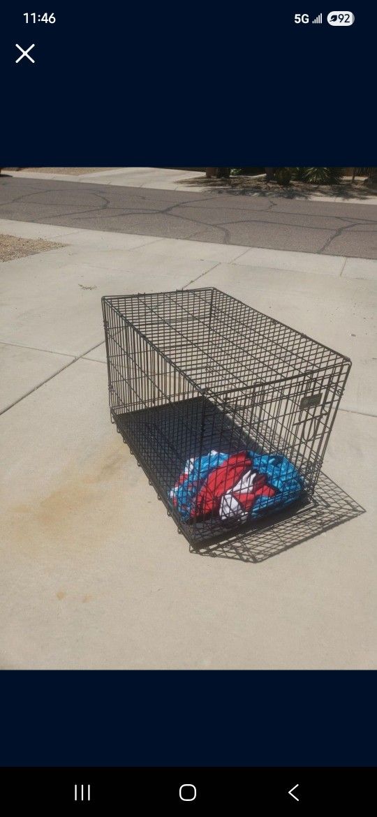 Dog Kennel