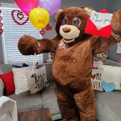Valentines Teddygram Delivery Service 