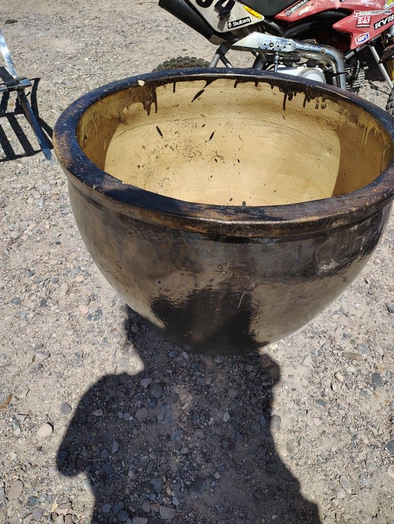 Big Pot Plant