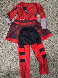 Descendents RED costume