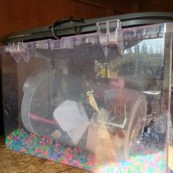 Aquarium 5 Gallon With Pump Light Rocks