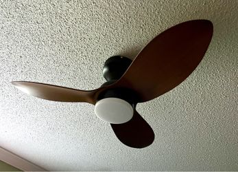 Surtime 36” Ceiling Fan with Remite