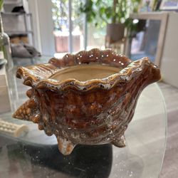 Ceramic Conch Shell Pot/Bowl