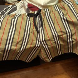 Men’s Burberry Swim Shorts