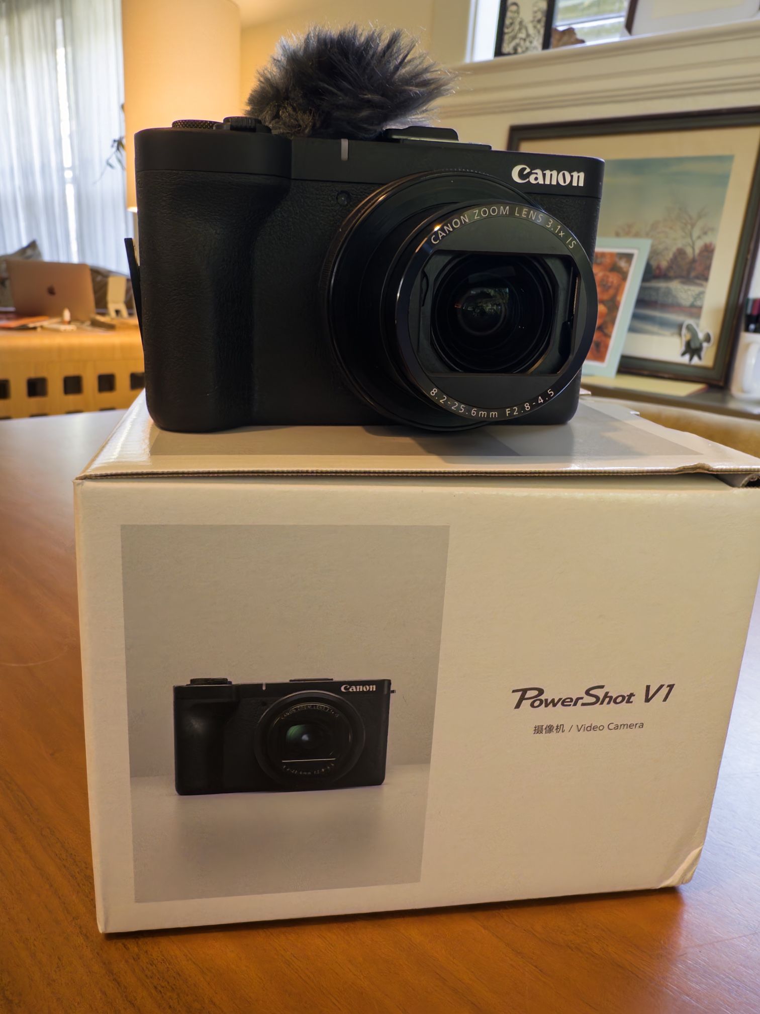 Like New, Pristine - Canon Powershot V1