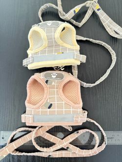 2 Sets vest harness and leash for kittens and small puppies